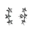 925 Sterling Silver Earrings with Crystals of Swarovski (K281653C)