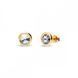 925 Sterling Silver Studs with Crystal Crystals of Swarovski (KRG1122SS29C)