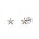 925 Sterling Silver Studs with Silver Shade Crystals of Swarovski (K47455SS)