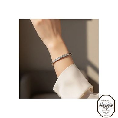 Браслет сталевий з Фіанітами Swarovski (SB002C), Фіаніт, Swarovski