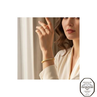 Браслет сталевий з Фіанітами Swarovski (SGB002C), Фіаніт, Swarovski